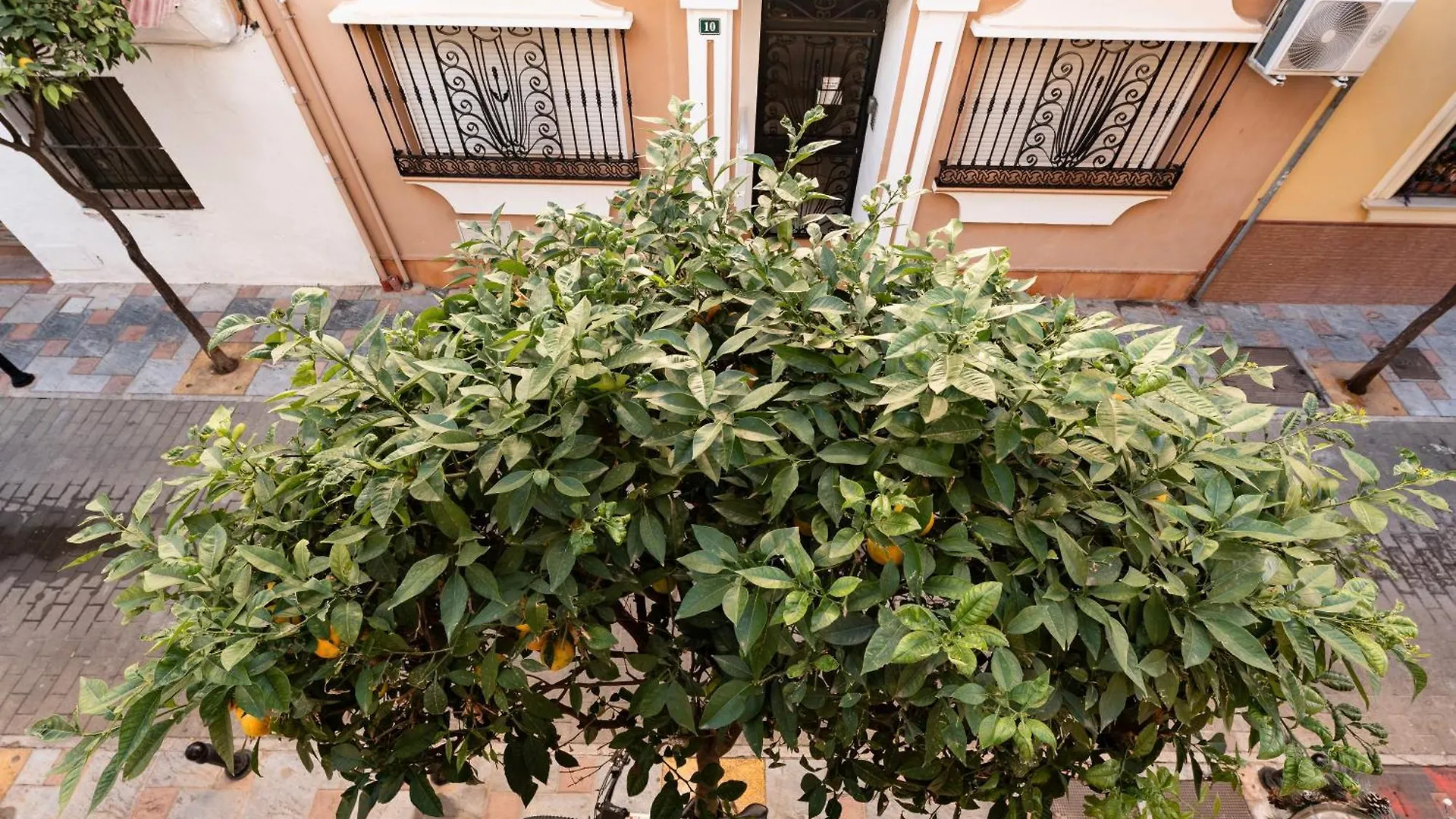 Town Apartment In Fuengirola Centre Španělsko